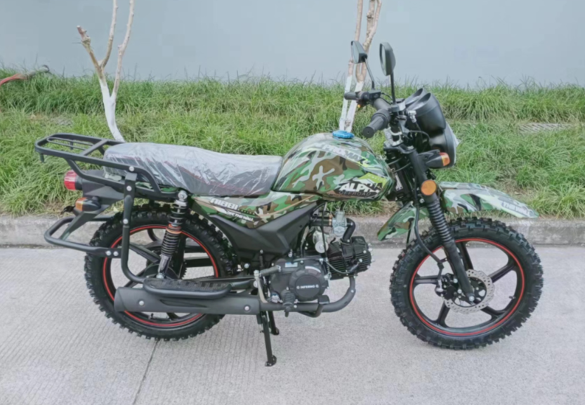 МОПЕД PROMAX ALPHA OFFROAD 150 (49) LUX в Пскове