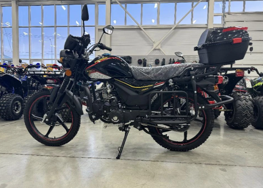 Мопед PROMAX ALPHA TOURIST 150(49) LUX в Пскове