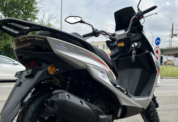 МаксиСкутер PROMAX MAGNUS 200(49) в Пскове