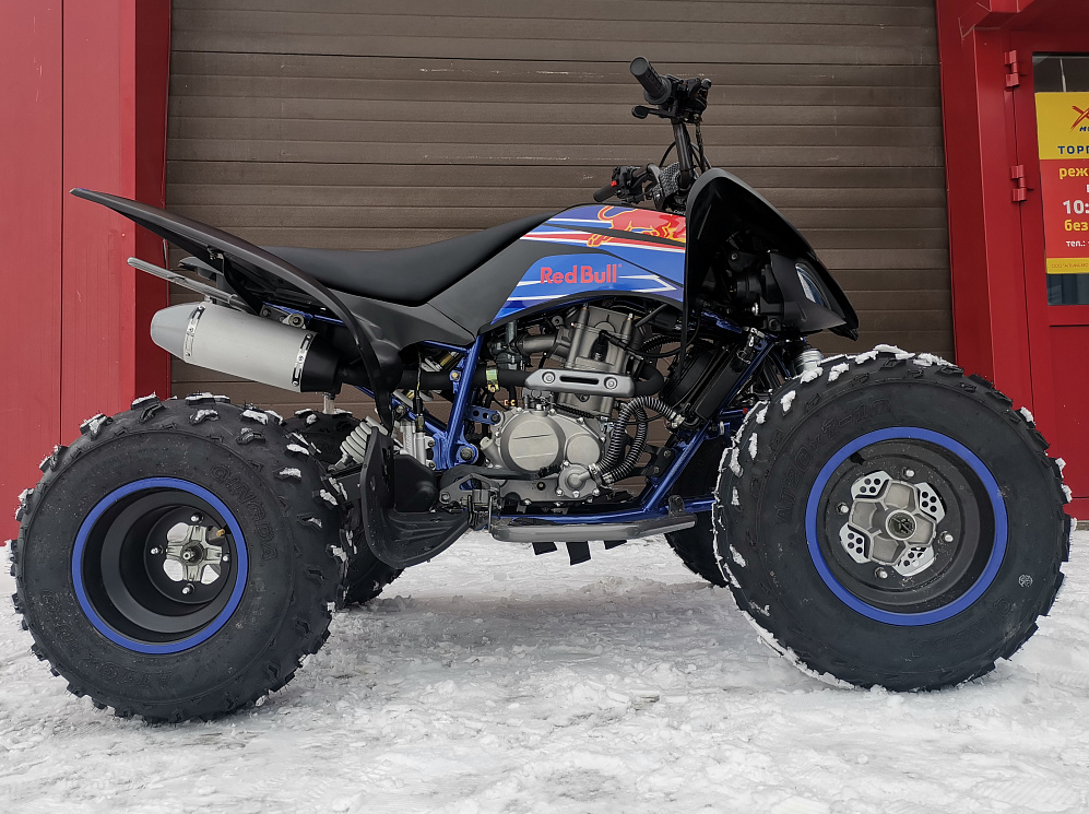Квадроцикл PROMAX RAPTOR 300 NEW RedBull в Пскове