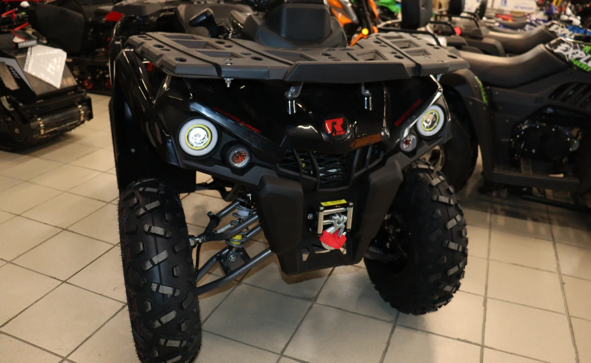 Квадроцикл PROMAX RENEGADE 300 LONG WINCH PRO (2025) в Пскове