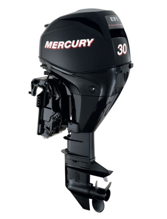 ЛОДОЧНЫЙ МОТОР MERCURY  F 30 ELH GA EFI в Пскове