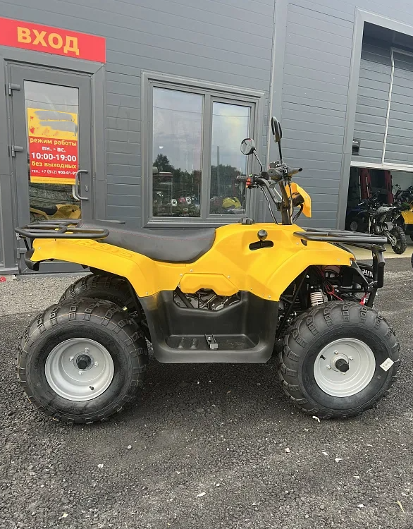 КВАДРОЦИКЛ IRBIS ATV 250  в Пскове
