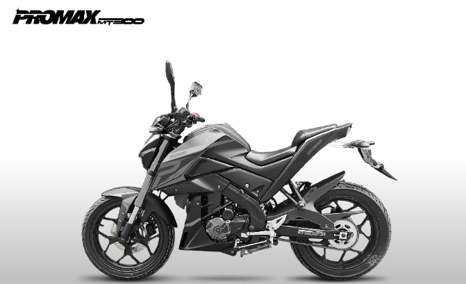 Мотоцикл PROMAX MT300 в Пскове