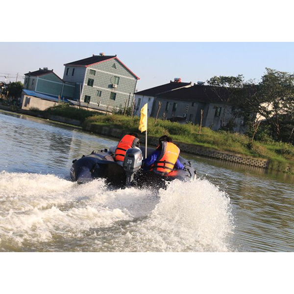 ЛОДОЧНЫЙ МОТОР ALLFA CG Т20 в Пскове