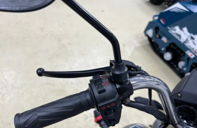 Мопед PROMAX ALPHA PRIDE 130 в Пскове