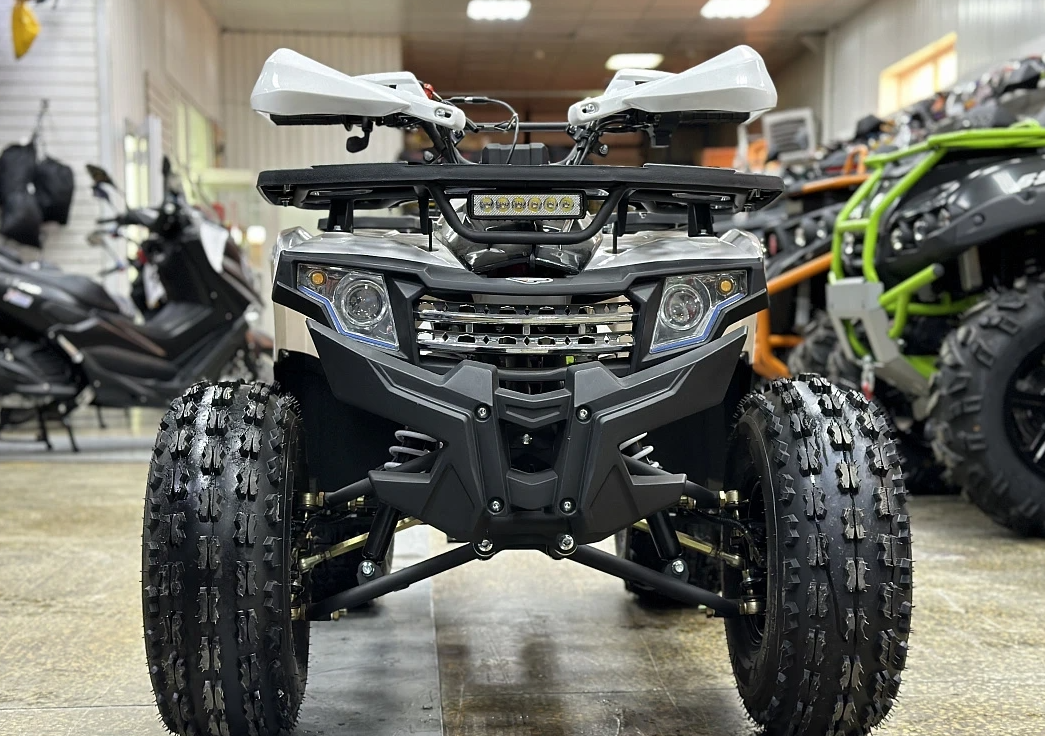 Квадроцикл PROMAX WILD 2.0 190 в Пскове