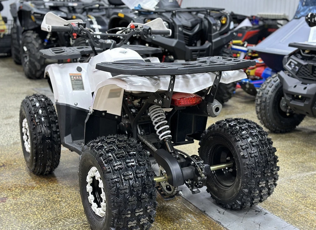 Квадроцикл PROMAX WILD 2.0 190 в Пскове