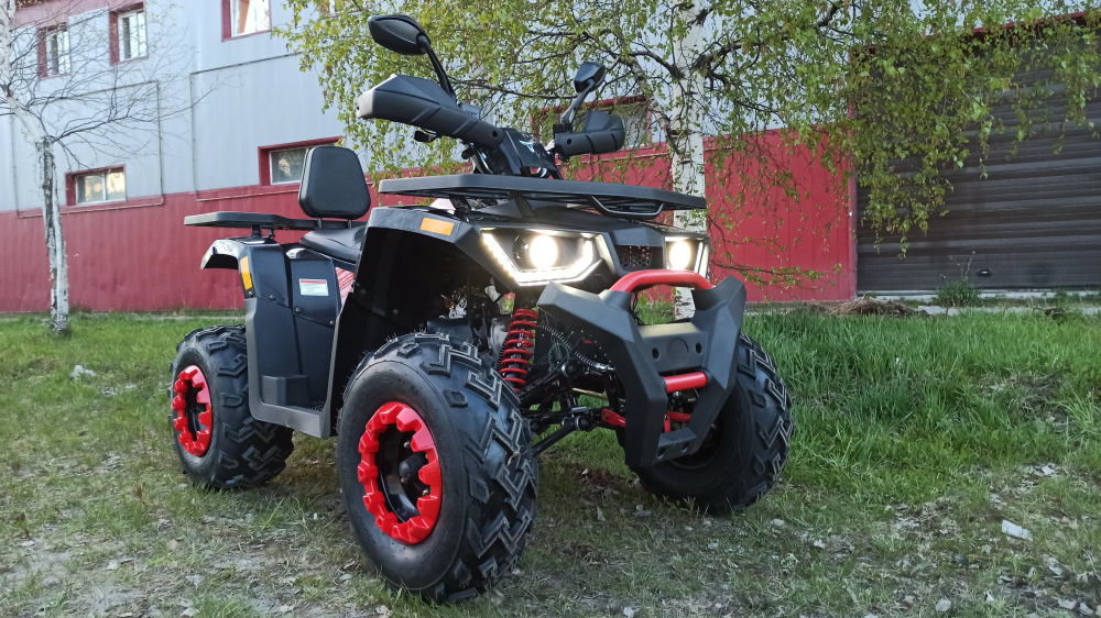 Квадроцикл PROMAX WILD 300 LUX (2024) в Пскове