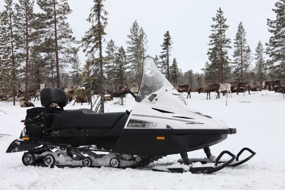 СНЕГОХОД РМ ТАЙГА ВАРЯГ 550 V в Пскове