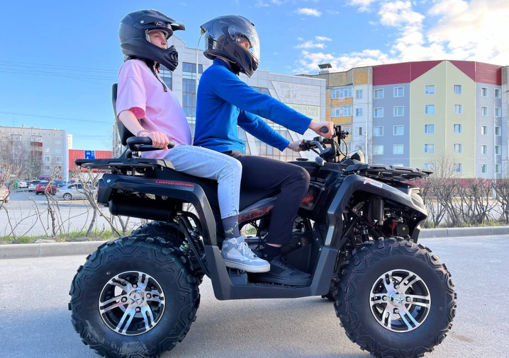 Квадроцикл PROMAX RENEGADE 300 LONG WINCH PRO (2025) в Пскове