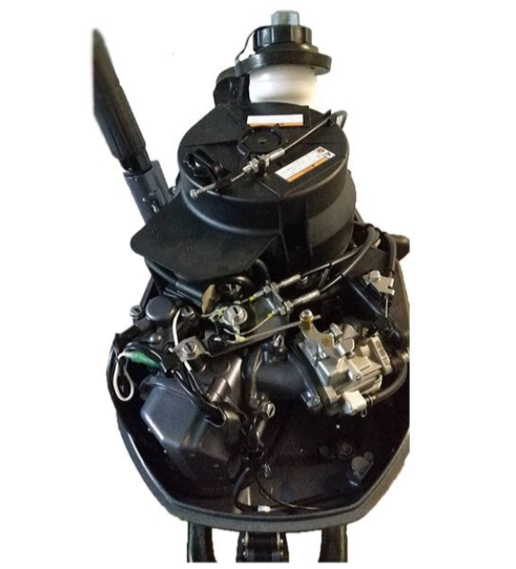 Лодочный мотор ALLFA CG F6 в Пскове