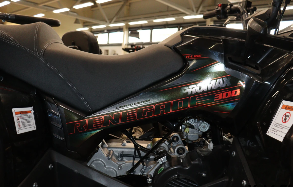Квадроцикл PROMAX RENEGADE 300 LONG WINCH PRO (2025) в Пскове