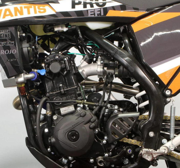 Мотоцикл Avantis Enduro 300 PRO EFI Exclusive (NC250/177MM) ARS в Пскове