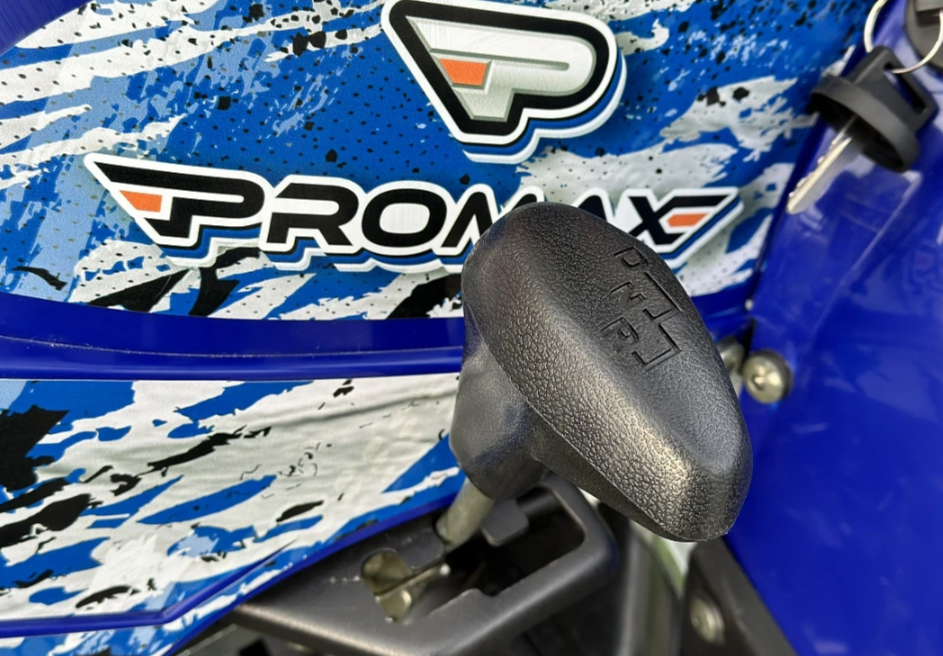  Квадроцикл PROMAX ATV 250 MAX (2025) в Пскове