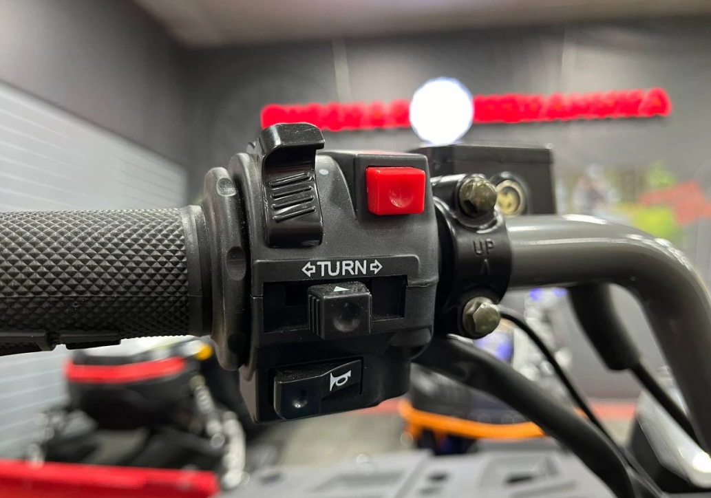 Квадроцикл PROMAX RENEGADE 300 LONG WINCH PRO (2025) в Пскове