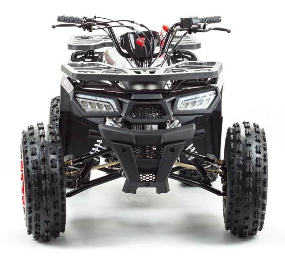 Квадроцикл PROMAX WILD 175 в Пскове