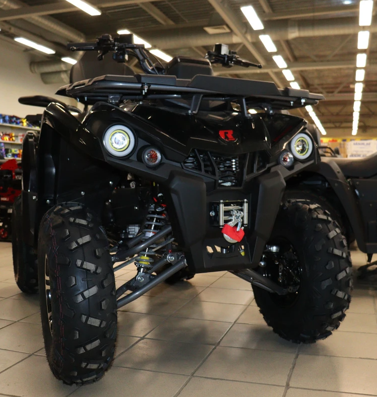 Квадроцикл PROMAX RENEGADE 300 LONG WINCH PRO (2025) в Пскове