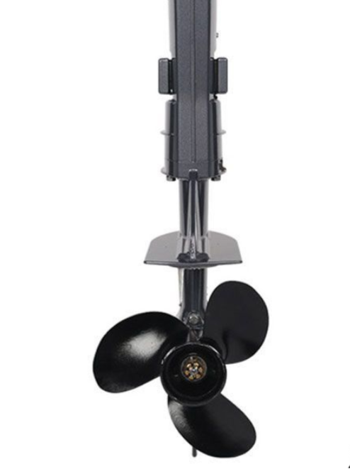 Лодочный мотор ALLFA T2,6S в Пскове