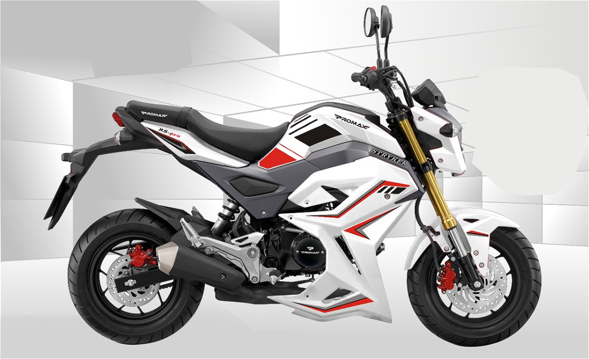 Мотоцикл PROMAX STRYKER 200(49) 2.0 в Пскове