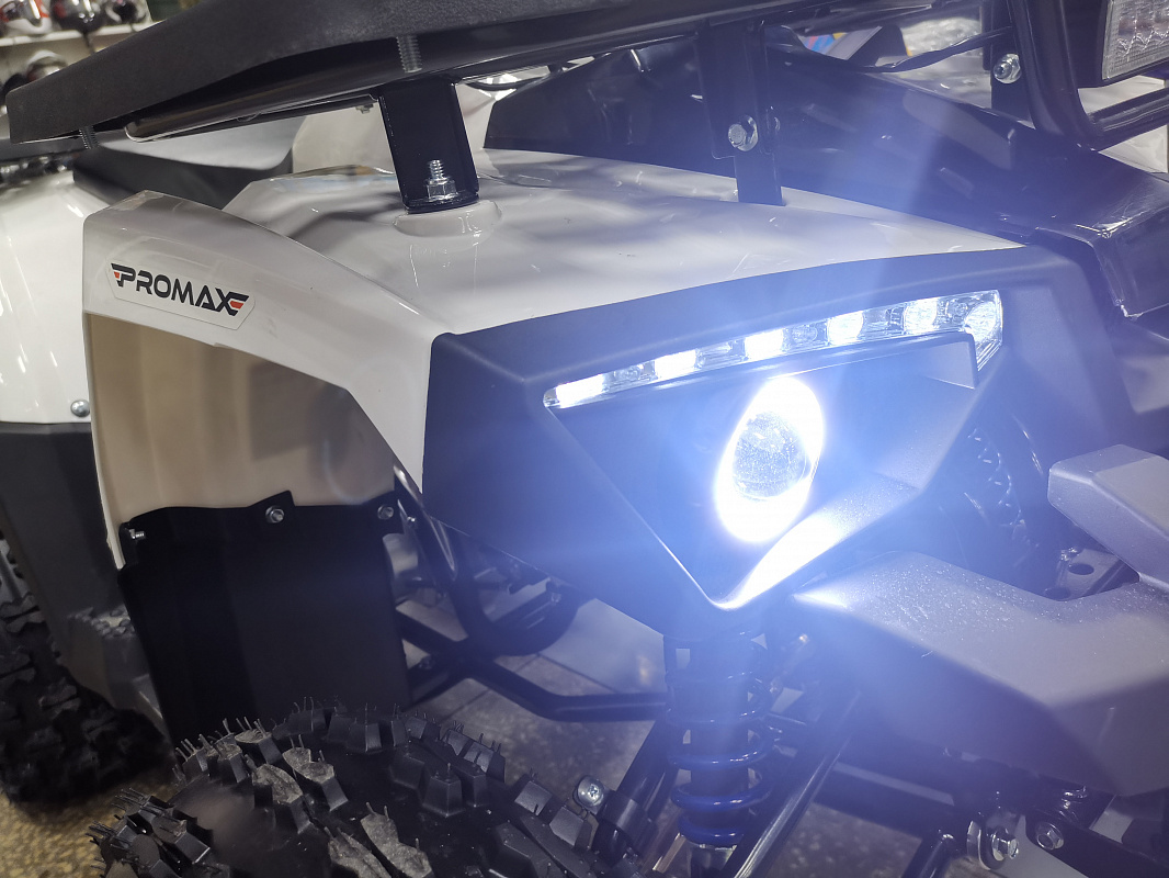 Квадроцикл PROMAX WILD 175 LUX в Пскове