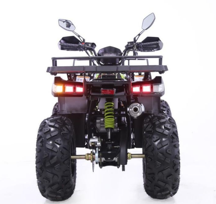 Квадроцикл YACOTA WARRIOR 200 PRO в Пскове