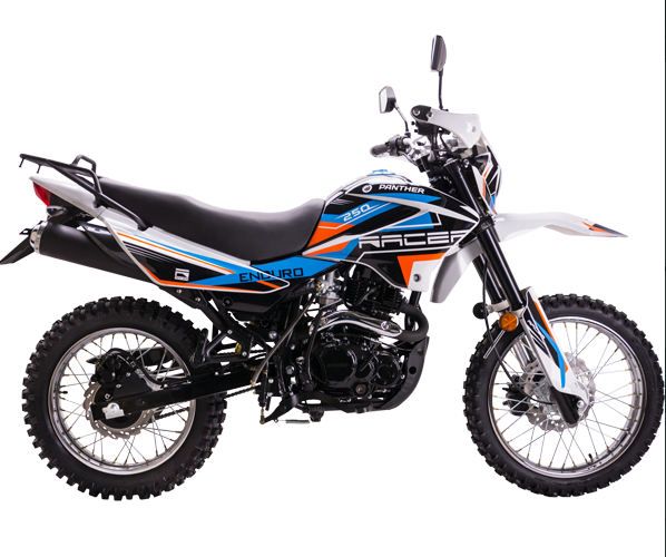 Мотоцикл Racer RC250GY-C2 Panther в Пскове