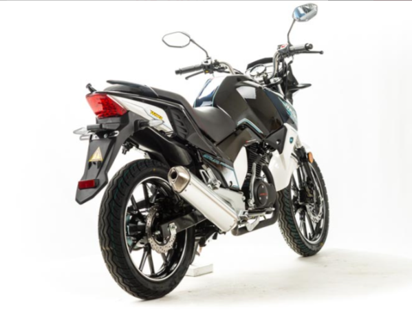 Мотоцикл MOTOLAND (МОТОЛЕНД) FIGHTER 250 в Пскове