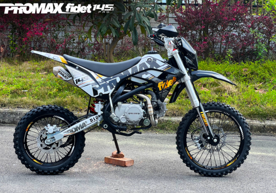 Мотоцикл (питбайк) PROMAX FIDET (ФАЙДЕТ) 145E PRO 17/14 в Пскове