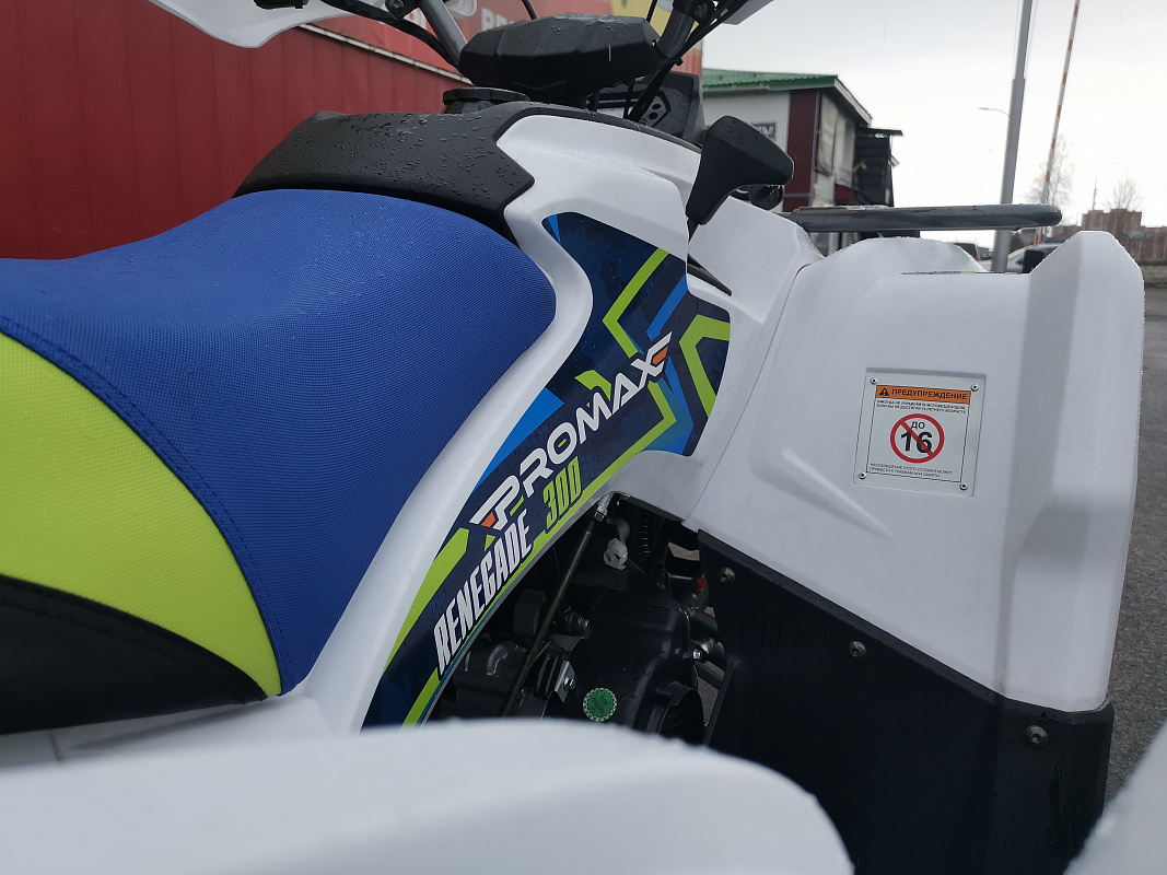 Квадроцикл PROMAX RENEGADE 280 LUX (2025) в Пскове