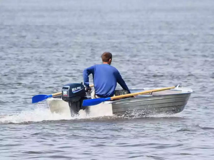 Алюминиевая Wyatboat-320 в Пскове