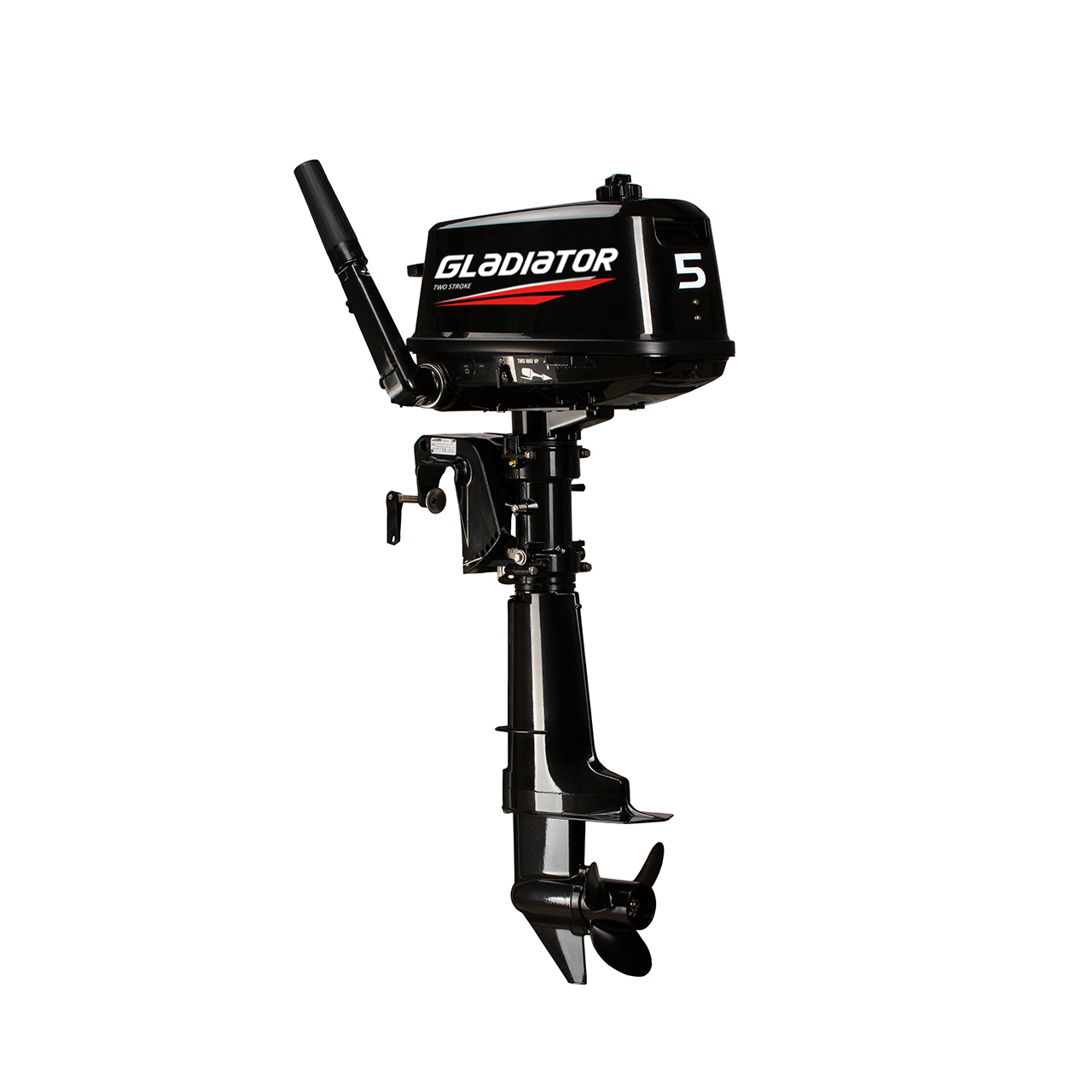 ЛОДОЧНЫЙ МОТОР GLADIATOR G5FHS в Пскове