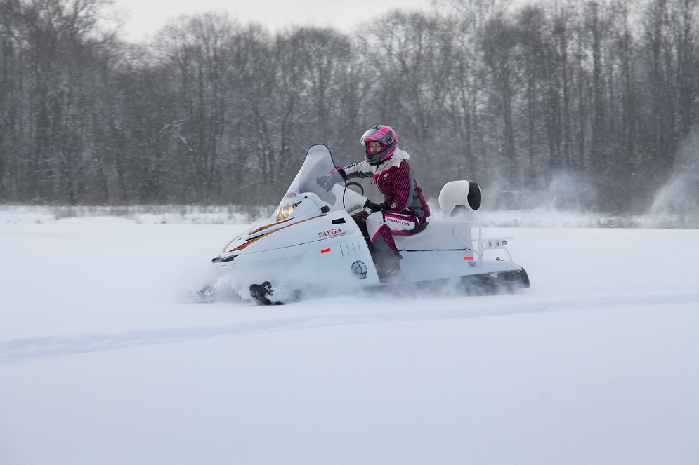 СНЕГОХОД РМ ТАЙГА ПАТРУЛЬ 551 SWT в Пскове