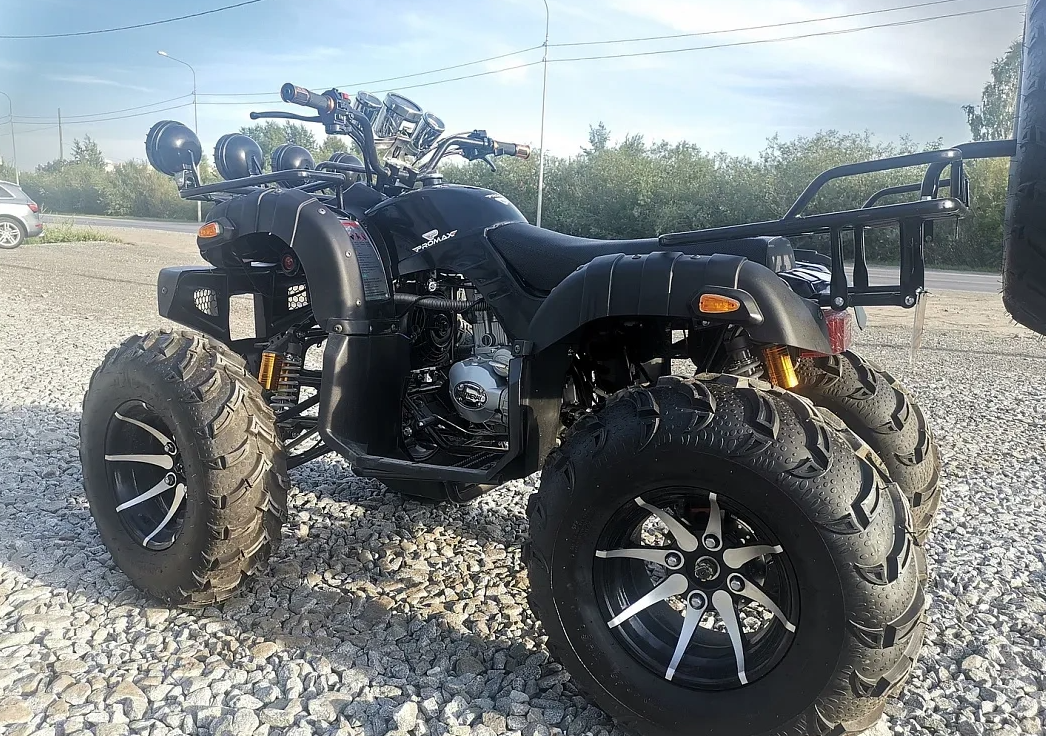 Квадроцикл PROMAX LEO 300 Max (кардан) в Пскове