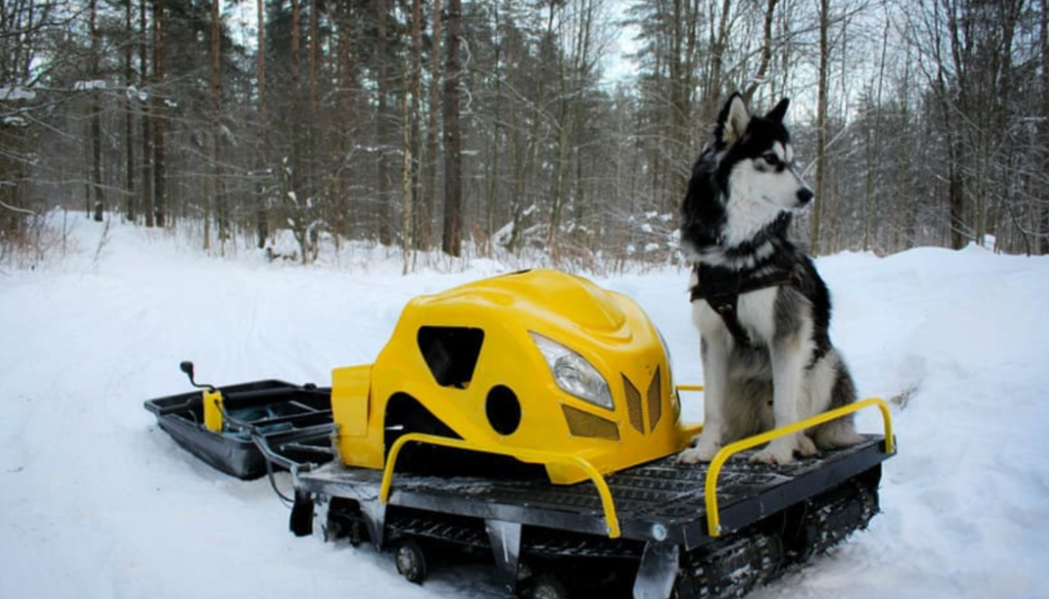 Мотобуксировщик LEBEDEV MOTORS ВОЛКОДАВ POWER V13 в Пскове