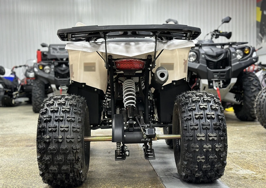 Квадроцикл PROMAX WILD 2.0 190 в Пскове