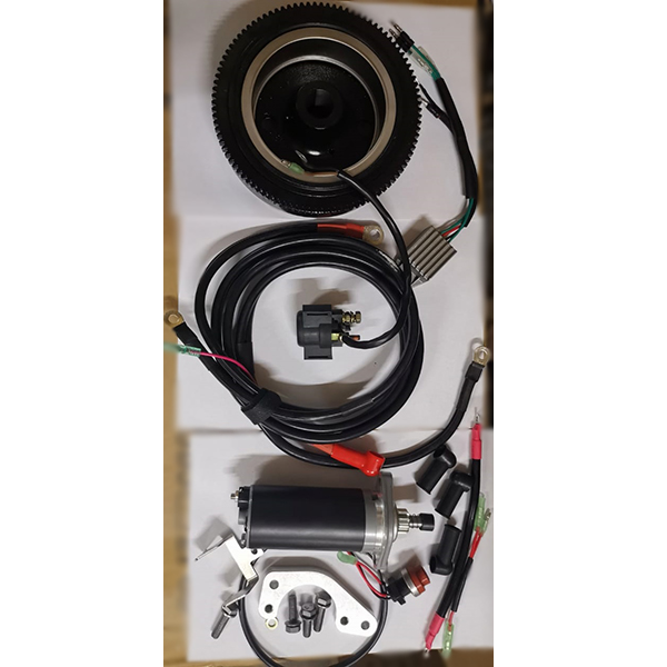 ЛОДОЧНЫЙ МОТОР ALLFA CG Т9,9 BW S в Пскове