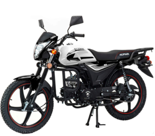 Мопед MOTOLAND (МОТОЛЕНД) Альфа RS 11 (LM48-B) в Пскове