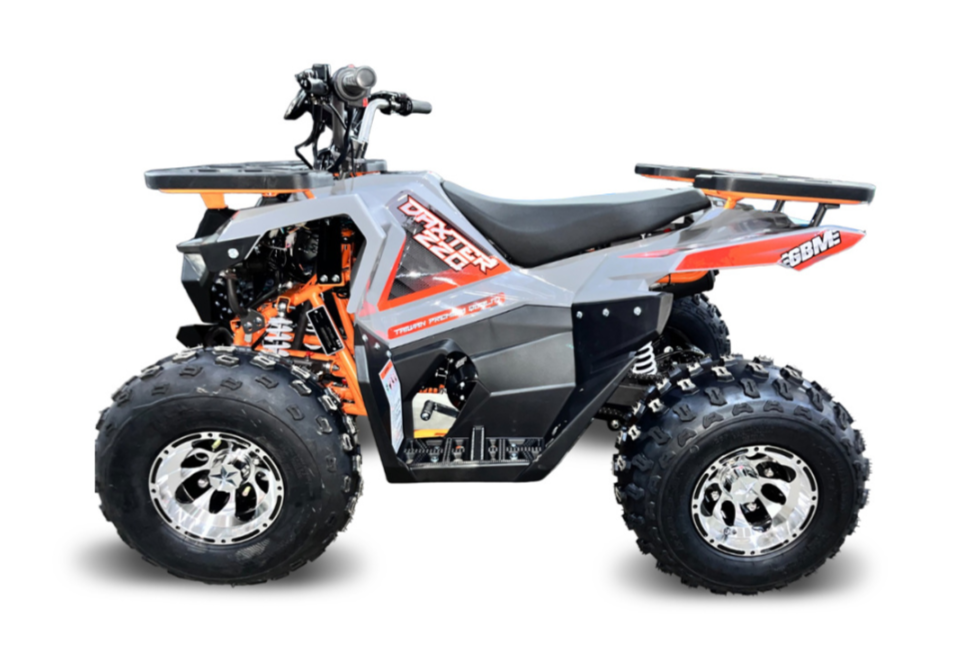 Квадроцикл GBM DAXTER 220 NEW PREMIUM в Пскове