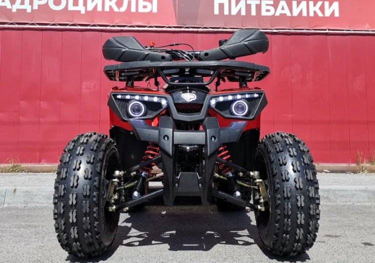 Квадроцикл PROMAX WILD 175 BASIC в Пскове