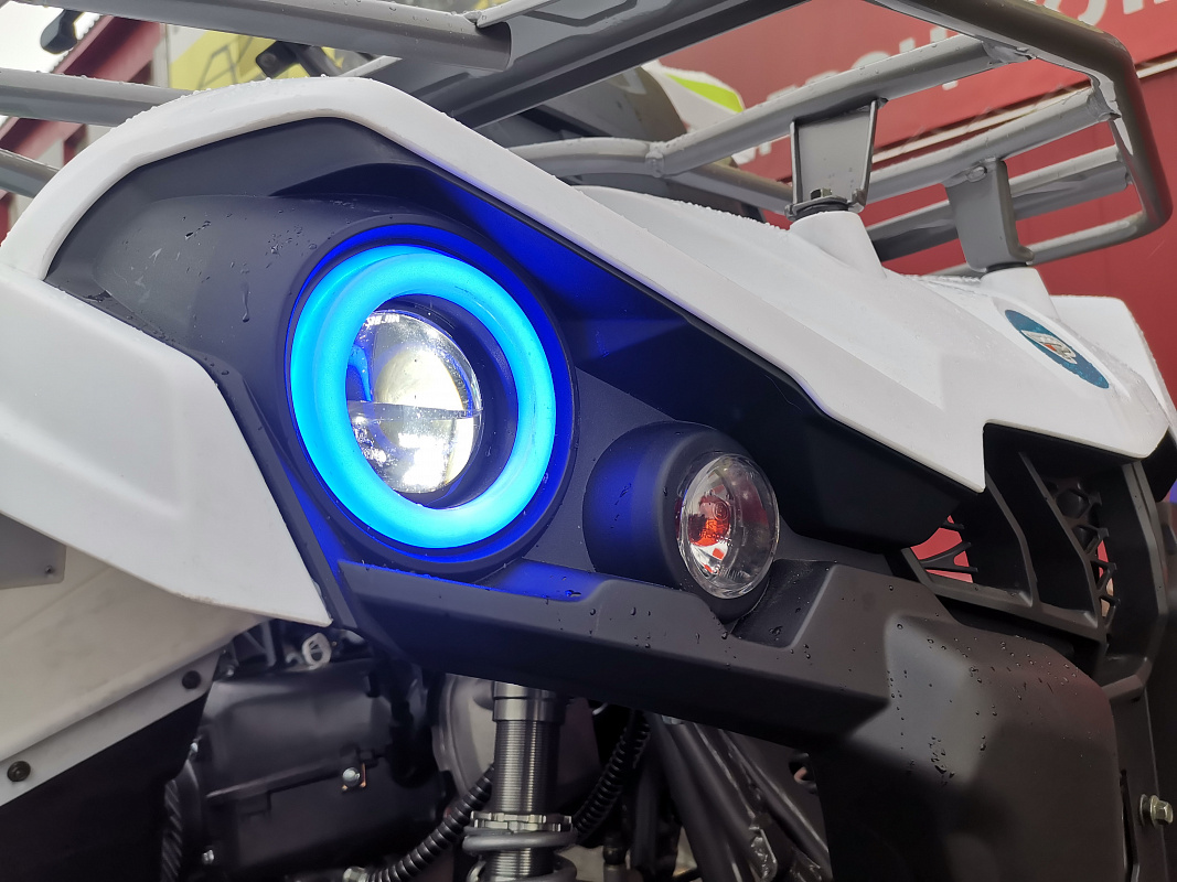 Квадроцикл PROMAX RENEGADE 280 LUX (2025) в Пскове