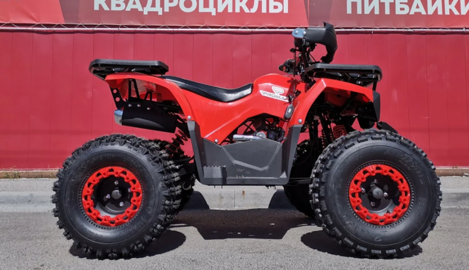 Квадроцикл PROMAX WILD 175 BASIC в Пскове