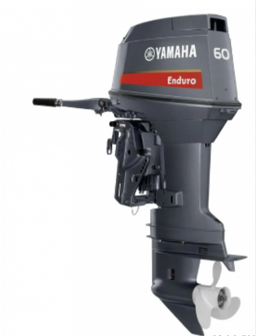 Лодочный мотор YAMAHA E60HMHDL в Пскове
