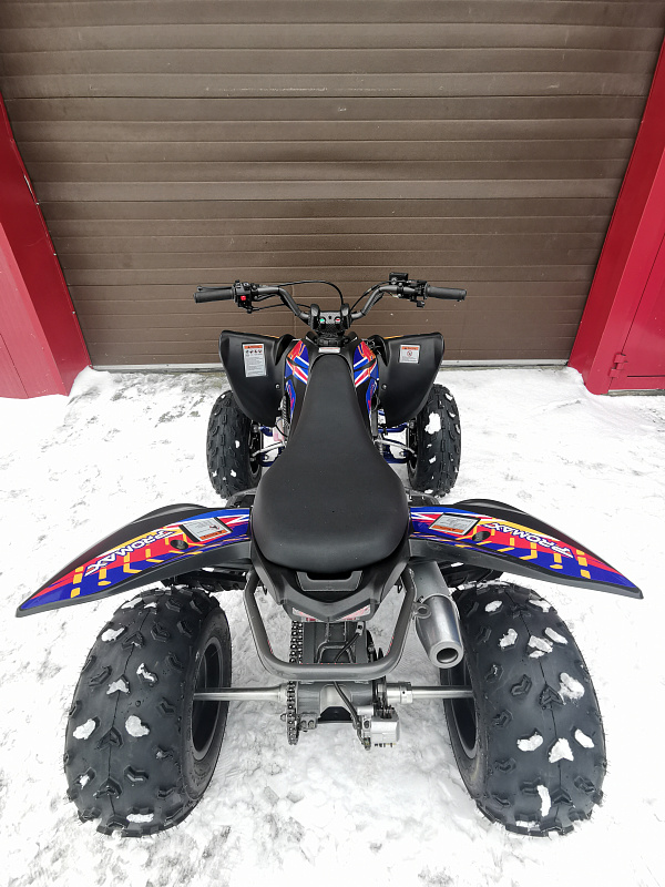 Квадроцикл PROMAX RAPTOR 300 NEW RedBull в Пскове