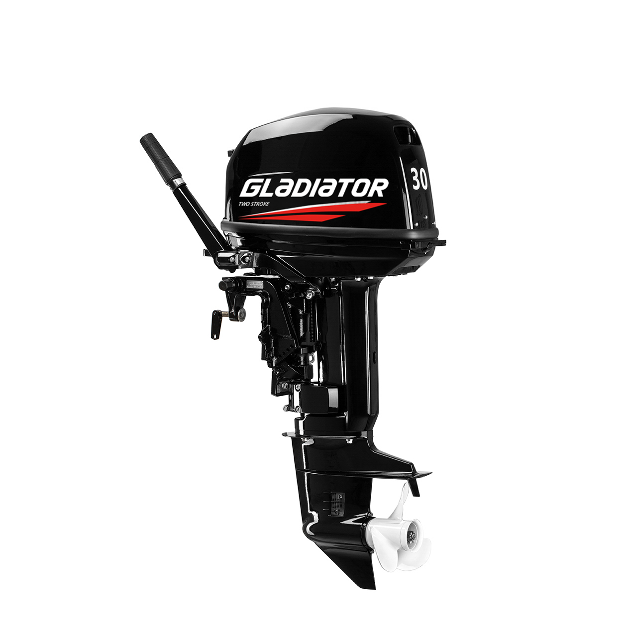 ЛОДОЧНЫЙ МОТОР GLADIATOR G30FHS в Пскове