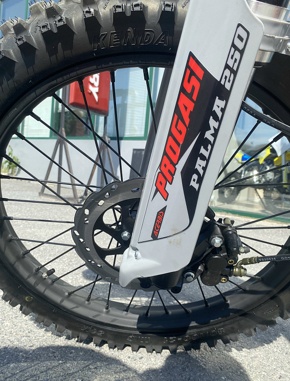 Мотоцикл Progasi PALMA 250SE в Пскове