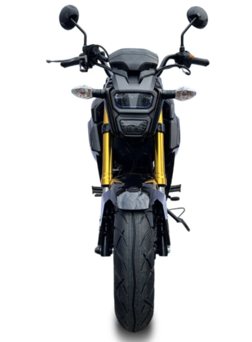 Мотоцикл PROMAX STRYKER 200(49) в Пскове