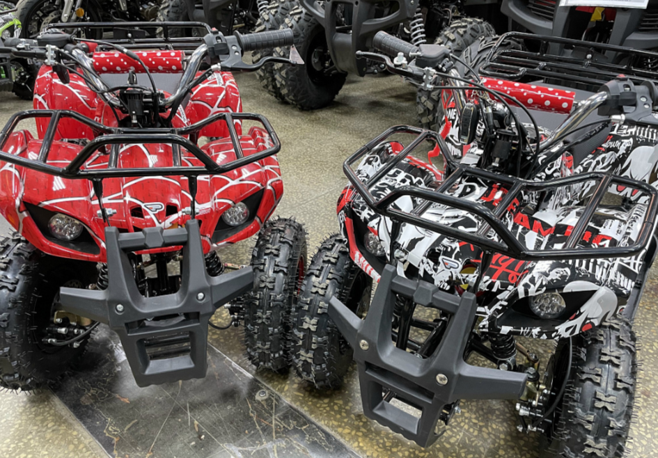 Квадроцикл PROMAX ATV MINI 2T 70CC р/с в Пскове