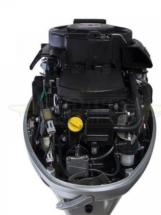 Лодочный мотор SEANOVO SNEF30FEL-EFI в Пскове