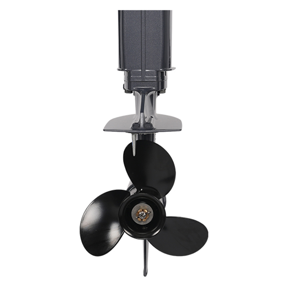 ЛОДОЧНЫЙ МОТОР ALLFA CG Т20 в Пскове